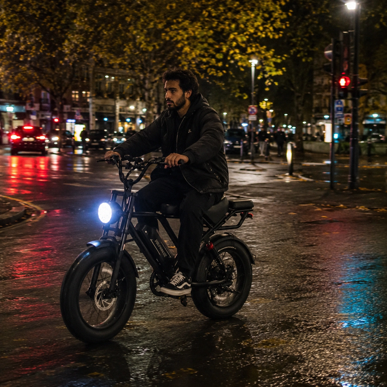 1500W Electric Bike