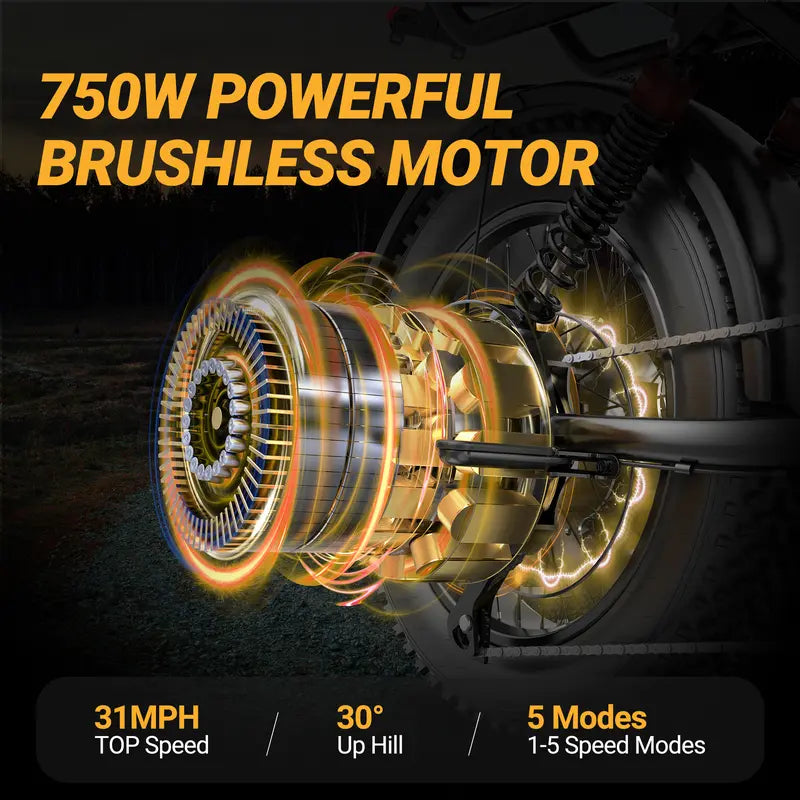 1500W Electric Bike
