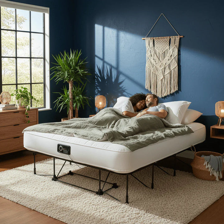Clearance : Lumen Easy Guest