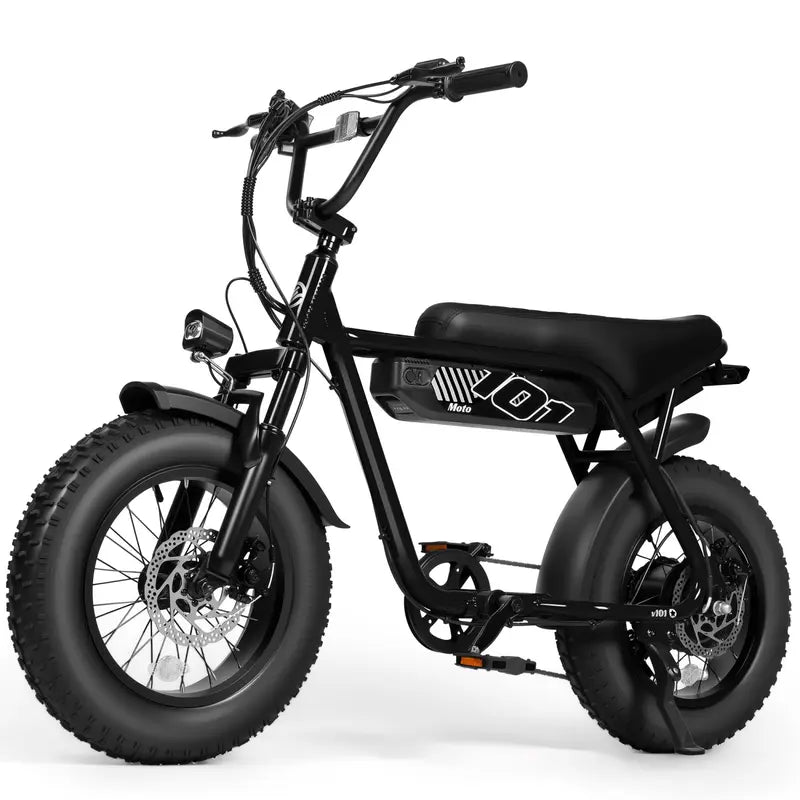 Clearance : V101 Ebike