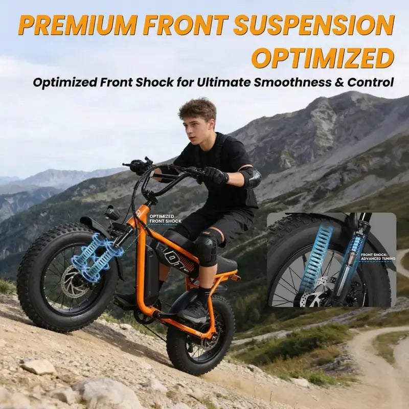 Clearance : V101 Ebike