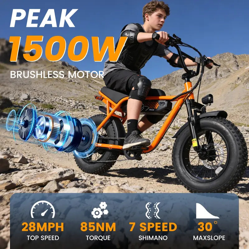 Clearance : V101 Ebike