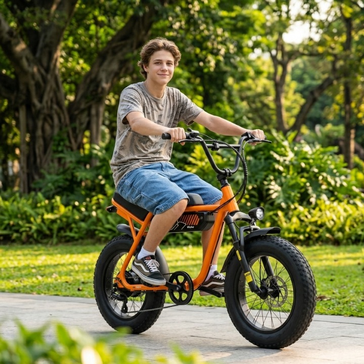 Lumen V101 Ebike