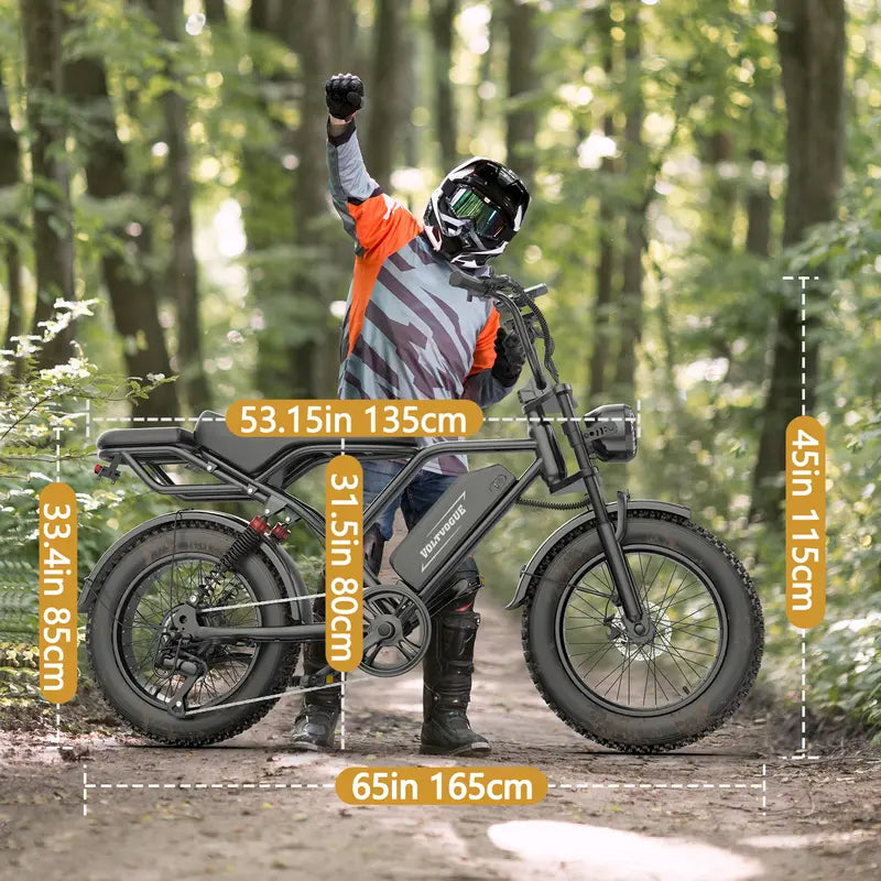 1500W Electric Bike