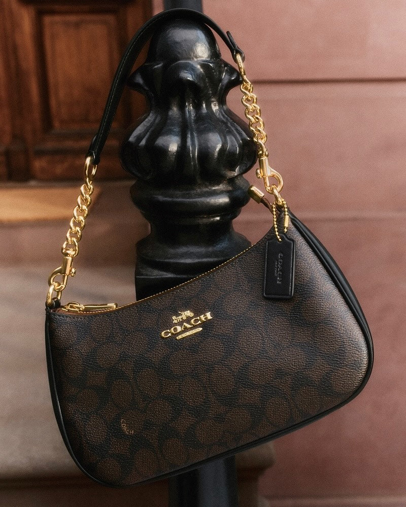 THE TERI PURSE