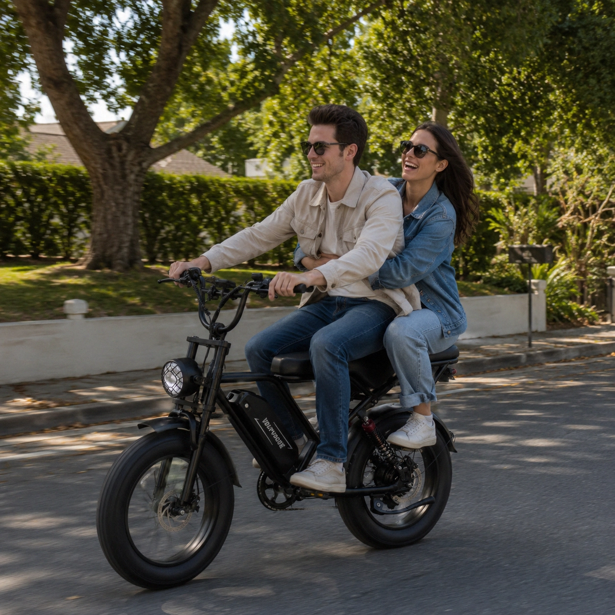 1500W Electric Bike